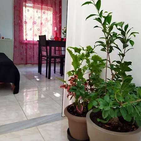 - Eva Apartament